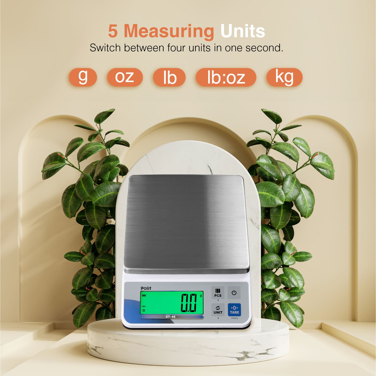 KT-66 electronic scale