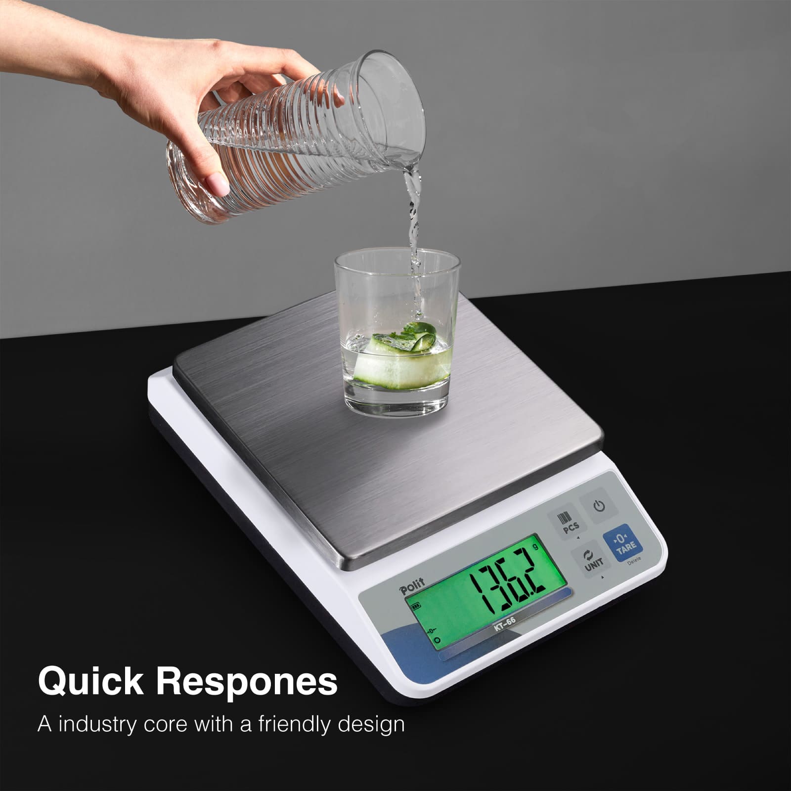 KT-66 electronic scale