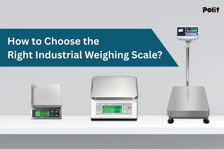 How to Choose the Right Industrial Weighing Scale?|Weighing Solutions|Polit Smart Scale