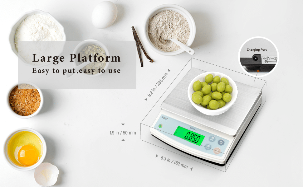 KOIN Food Scale|Weighing Solutions|Polit Smart Scale