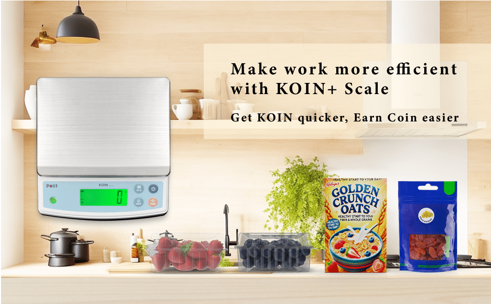 KOIN Food Scale|Weighing Solutions|Polit Smart Scale